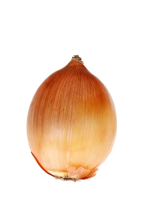 Isolated cooking onionの写真素材