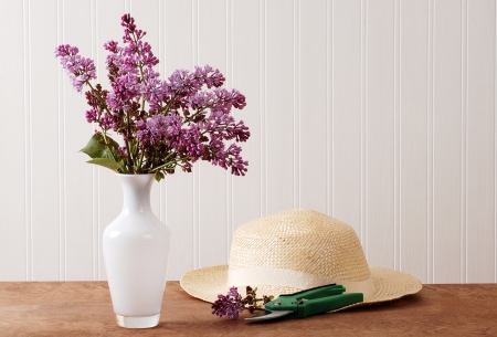 Fresh cut lilac flowersの写真素材