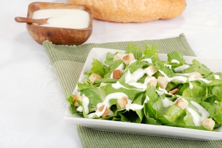 Cesar saladの写真素材