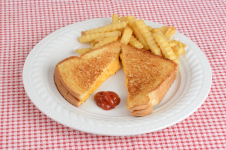 Top view grilled cheese sandwich with firesの写真素材