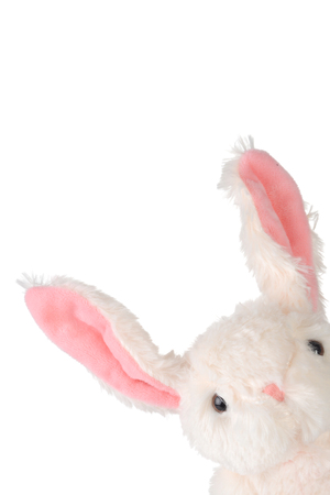 isolated easter bunny with pink earsの写真素材