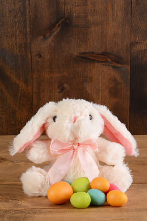 stuffed easter bunny with colorful eggsの写真素材