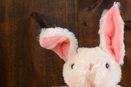 closeup stuffed easter bunny with floppy earの写真素材