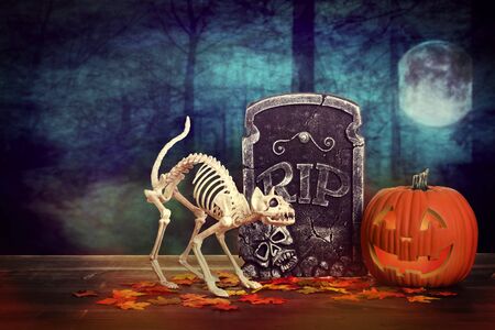 scary halloween skeleton cat with tombstoneの写真素材