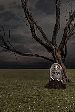 grave by a dead old treeの写真素材