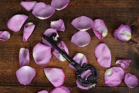 top view key with pink rose petalsの写真素材