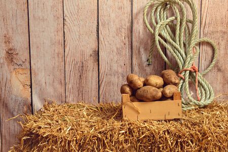 russet potatoes in wood box on straw bale with ropeの写真素材