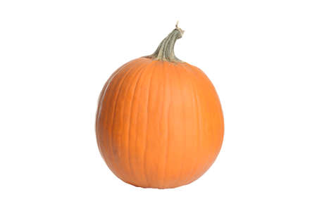 isolated fresh pumpkin with stemの写真素材