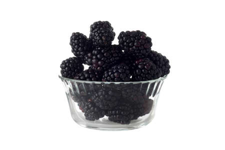 isolated glass bowl of blackberriesの写真素材