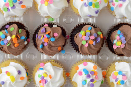 chocolate and vanilla cupcakes with sprinklesの写真素材