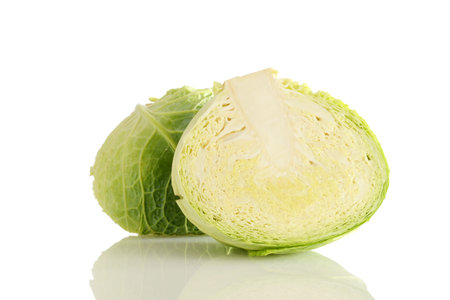 closeup fresh savoy cabbage half on white backgroundの写真素材