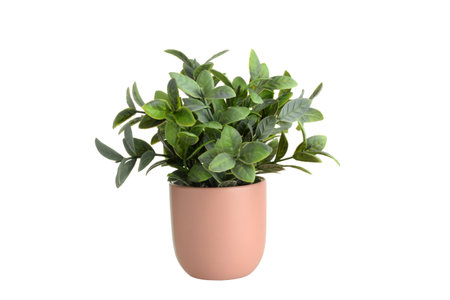 close up isolated artificial tropical plantの写真素材