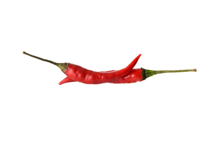 two isolated Hanoi Red Peppers Vietnamese Chili on whiteの写真素材