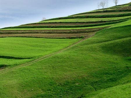 Cultivated farm land の写真素材