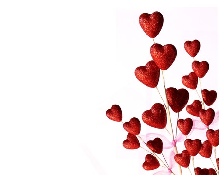 Red Hearts Flower with pink ribbon,on White Backgroundの写真素材