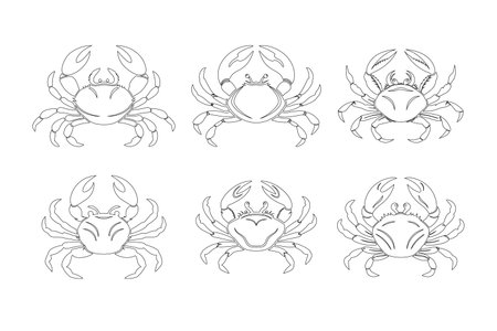 Crab line art design bundle set with white backgroundのイラスト素材