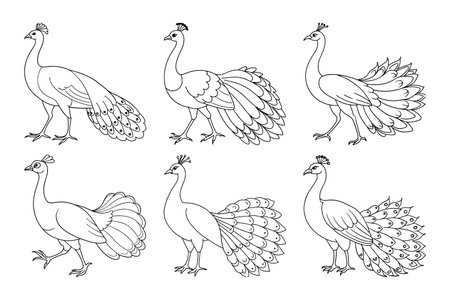 Turkey icon set. Coloring book for adults. Vector illustration.のイラスト素材