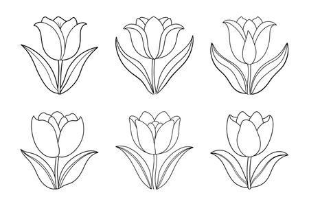 Set of tulip flowers. Hand drawn outline vector illustration isolated on white background.のイラスト素材