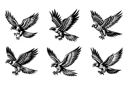 Eagle set. Vector illustration for tattoo or t-shirt design.のイラスト素材