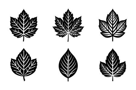 Leaf icon silhouette bundle design. Leaf icon set. Outline set of leaf vector icons for web design isolated on white backgroundのイラスト素材