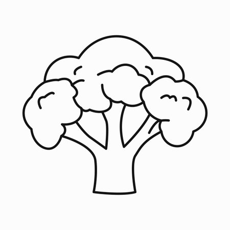 Simple line drawing of a fresh broccoli vegetable healthy food outline artのイラスト素材