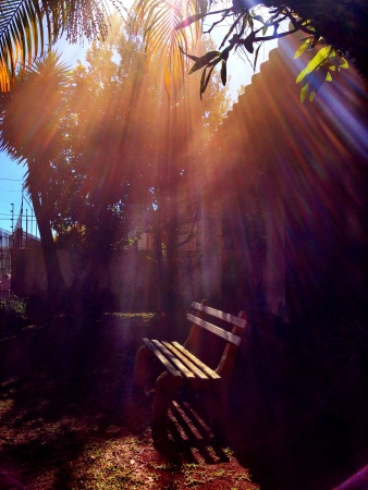 Scattered in the corner under the eaves of the sunの素材