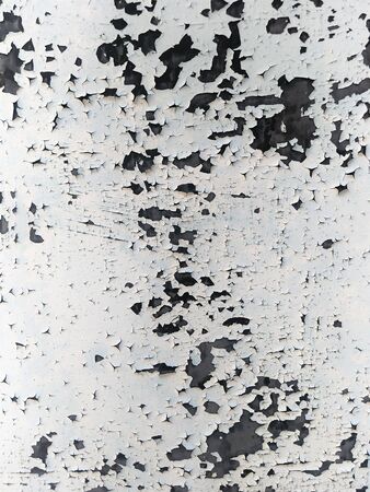 abstract background black and white craquelure old oil paintの写真素材