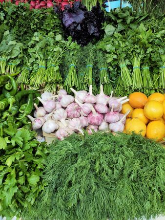 garlic, lemon, dill, radishes, Basil, green onions, lettuce, spinach, sorrel, chilli, sweet pepper, carrots, lettuce, parsley, cilantro, celery, aromatic herbs display at the farmers market, shop, low-calorie, ketoの写真素材