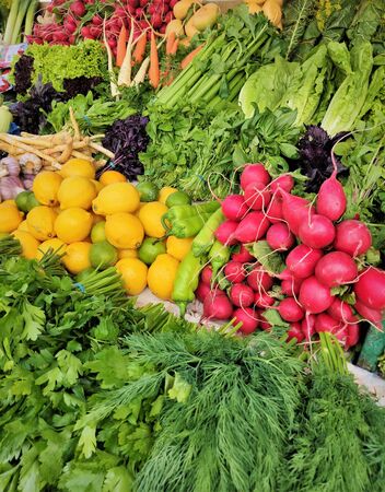 garlic, lemon, dill, radish, Basil, horseradish, roots, turnips, beets, green onions, lettuce, spinach, sorrel, chili, sweet pepper, carrots, salad, parsley, cilantro, celery, fragrant herbs display at the farmers market, shop, low-calorie, ketodietaの写真素材