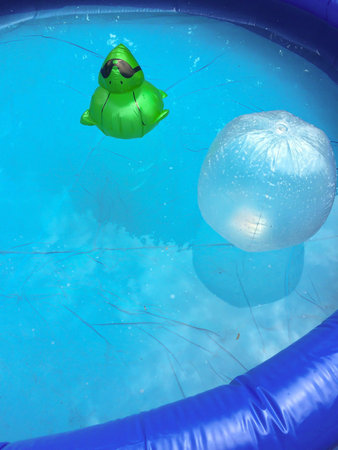 Afloat in the waterの素材