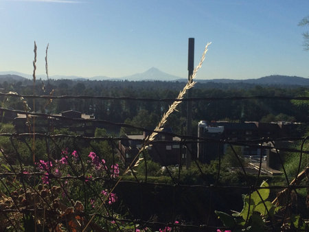 Mt hood in the distant morningの素材