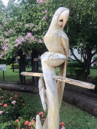 Jamaica parrot carvingの素材