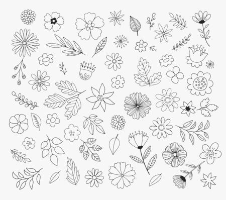 Cute doodle flowers and leaves. Hand drawn floral illustrations. Vector design elements.のイラスト素材