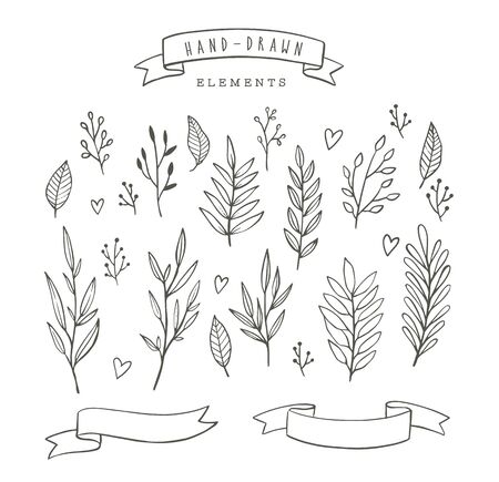 Set of vector floral design elements.のイラスト素材