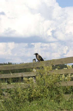 Sunny day in farmland.の写真素材