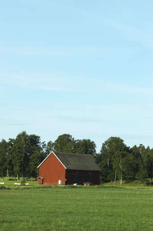 Sunny morning farmland.の写真素材