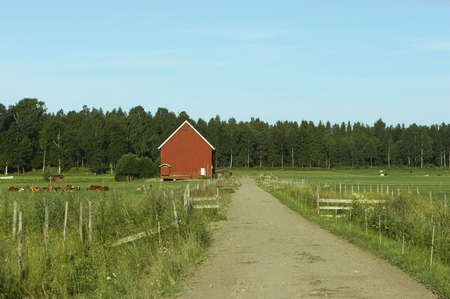 Sunny morning farmland.の写真素材
