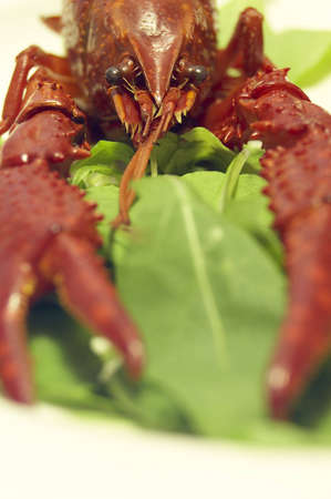 Seafood ready to eat.の写真素材