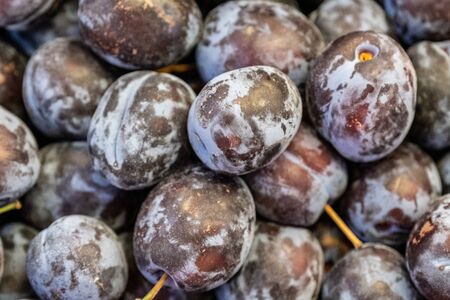 Counter with black plums in the store, plums in the supermarket. Ripe plums close-up bag.の写真素材