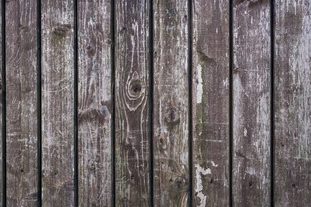 old wooden background. wall of wooden planks .の写真素材