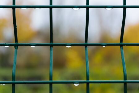 Raindrops on a metal grate. Green metal fence close-up.