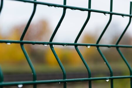 Raindrops on a metal grate. Green metal fence close-up.