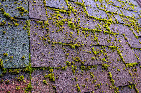 bituminous shingles with sprouted moss. Old weathered tile roof.の写真素材
