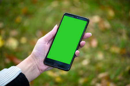 A woman's hand holds a modern phone with a green screen on a background of fallen autumn leaves.の写真素材