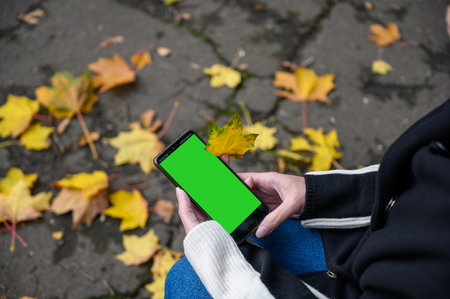 woman holding a smartphone in hands with a green screen, hand holding a mobile smartphone with a green screen on an autumn background, new technology concept.の写真素材