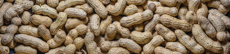 Peanut panoramic background. Peanut in a shell texture. Food background of organic delicious...