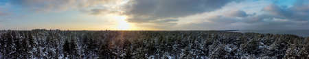 Sunset over snow-covered forest and sea at sunset in winter. Panoramic landscape.の写真素材