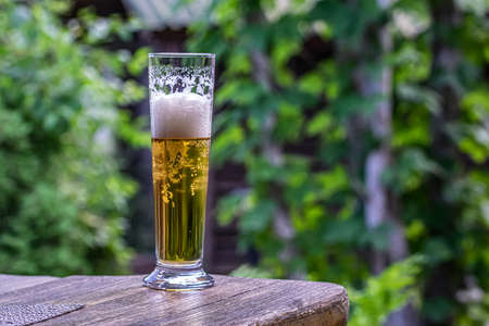 glass with beer on the table against the backdrop of greenery.