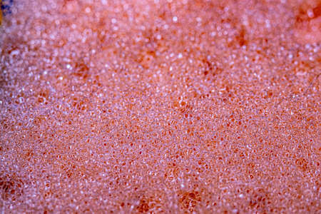 close-up red sponge texture. abstract background for design.の写真素材
