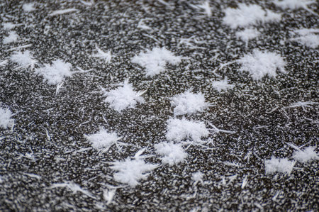 Abstract frost pattern on the road. Close-up textured frosted crystal snowflake.